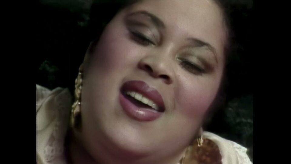 The Weather Girls – It’s Raining Men