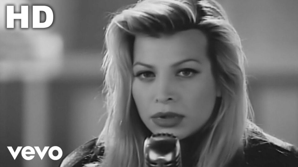 Taylor Dayne – Love Will Lead Back