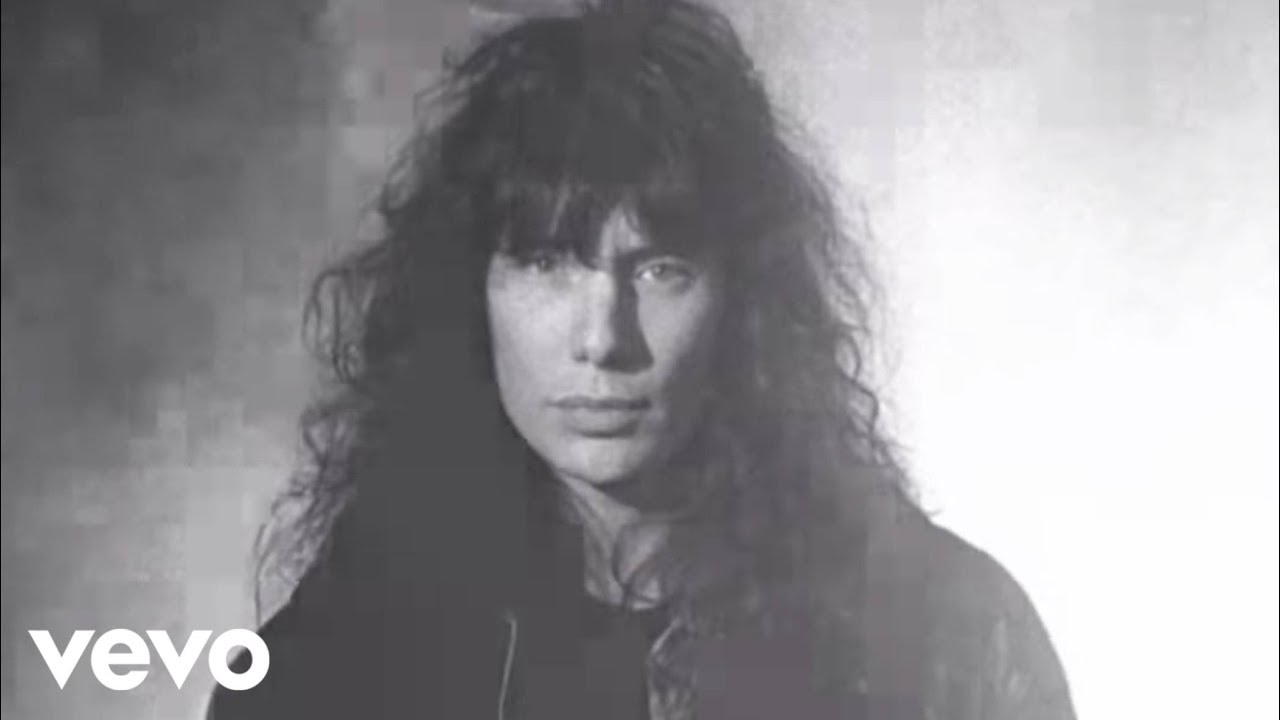 Mr. Big - Just Take My Heart