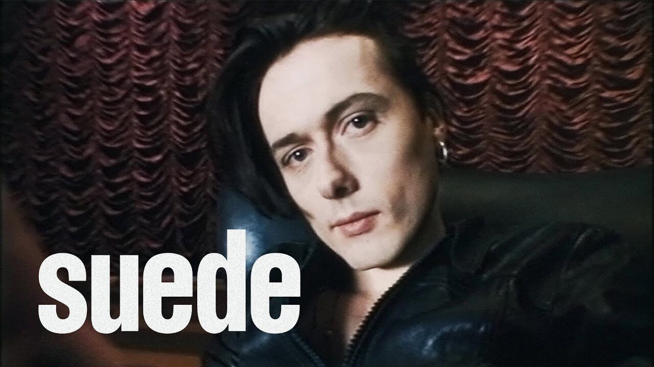 Suede – Animal Nitrate