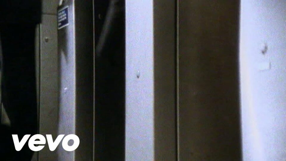 Paul Weller – Wild Wood