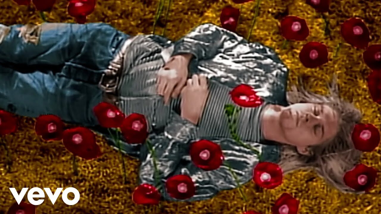 Nirvana – Heart-Shaped Box (Director’s Cut)