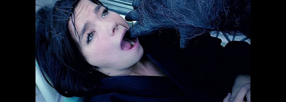 BJÖRK – ARMY OF ME