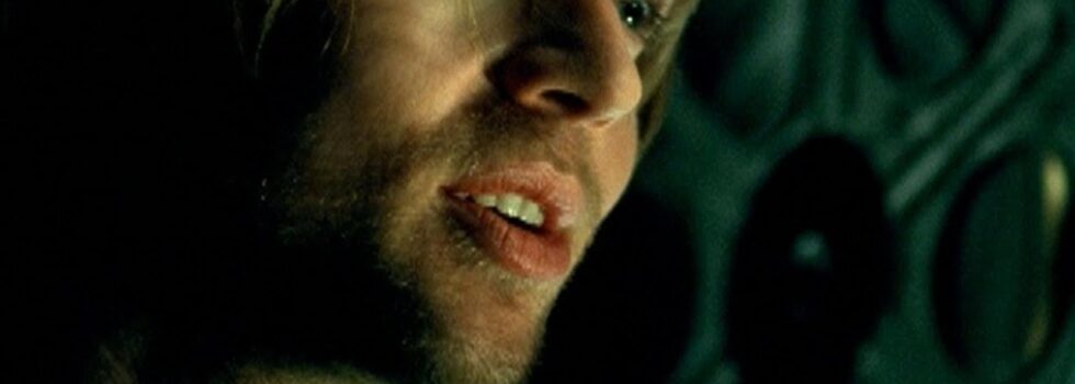 Darren Hayes – Insatiable