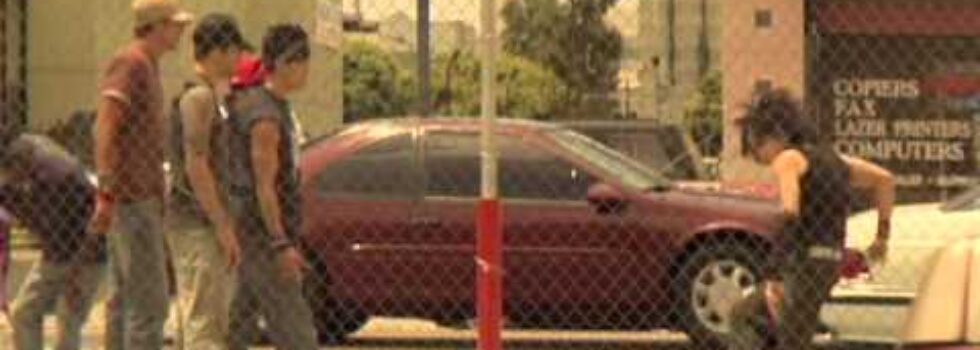 Skinny Puppy – Pro‑Test