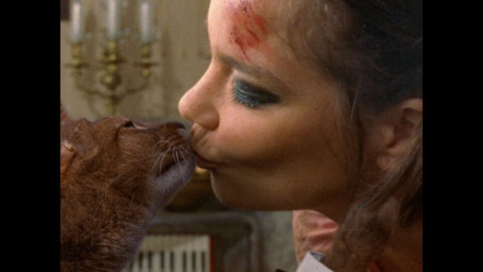 Björk – Triumph of a Heart music video