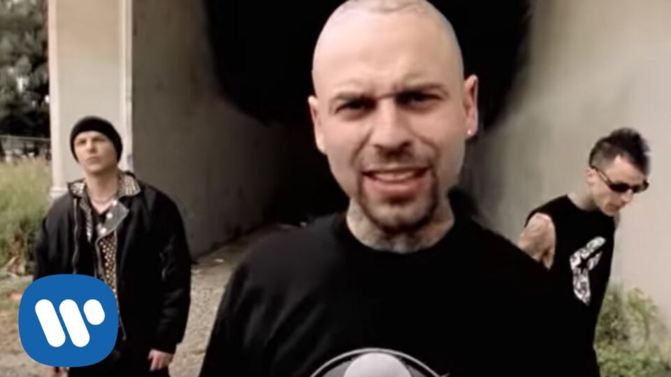 Transplants – What I Can’t Describe