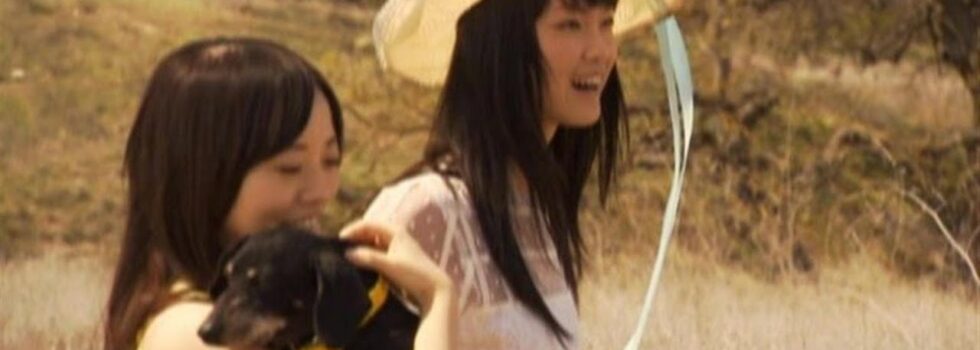 Thirteen Senses – Follow Me