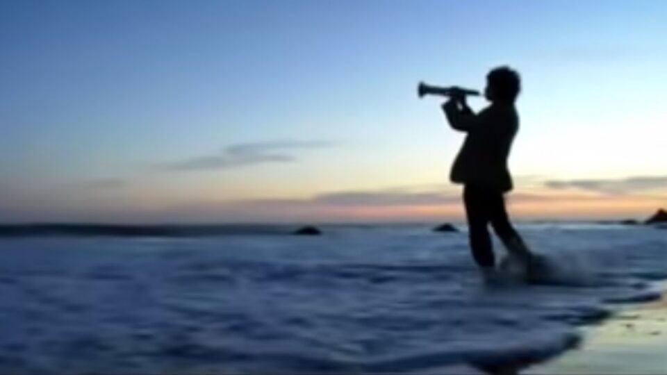Beirut - Elephant Gun (Official Video) — 4AD — music video music video