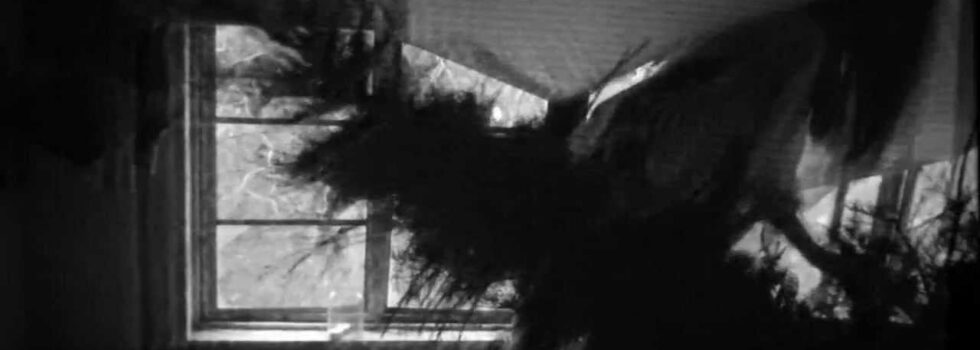 This Will Destroy You – Black Dunes