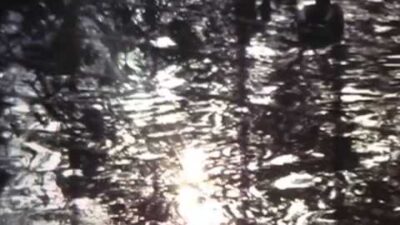 Bibio – Torn Under The Window Light