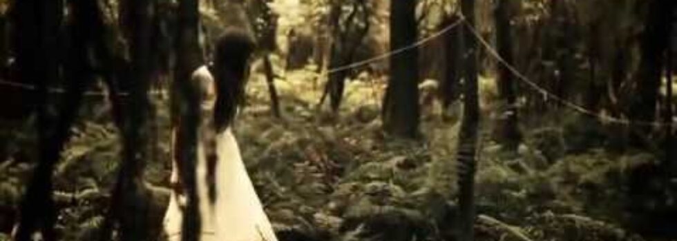 The Paper Kites – Bloom