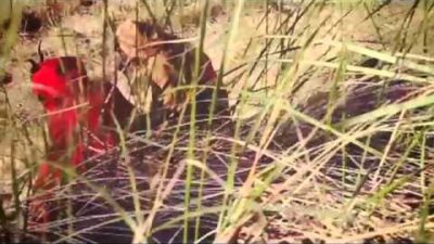 A Lull – Weapons For War