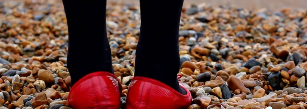 Emily and The Woods – Steal His Heart