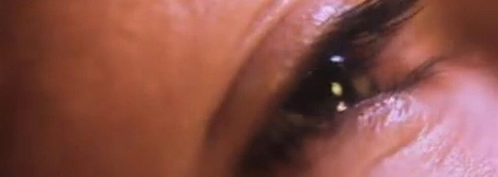 Taproot – The Everlasting