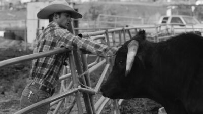 Family of the Year – Hero