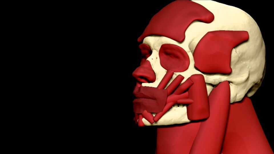 Damon Albarn – Everyday Robots