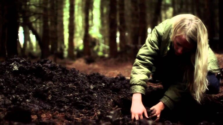 Message to Bears – Mountains music video