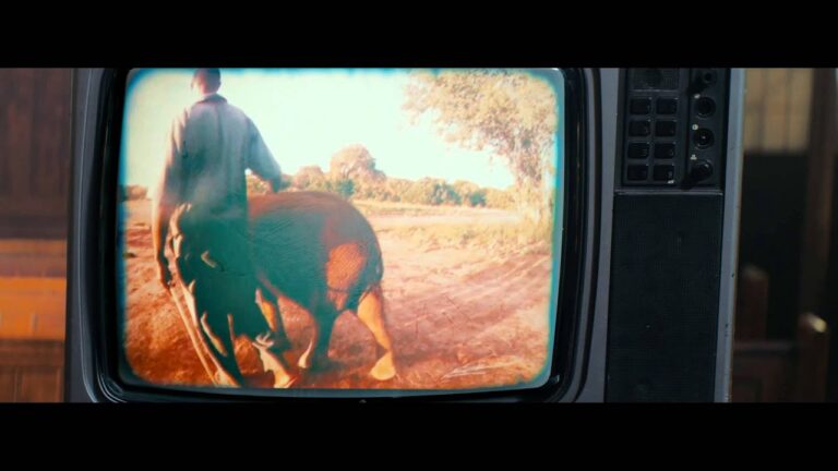 Damon Albarn – Mr Tembo music video