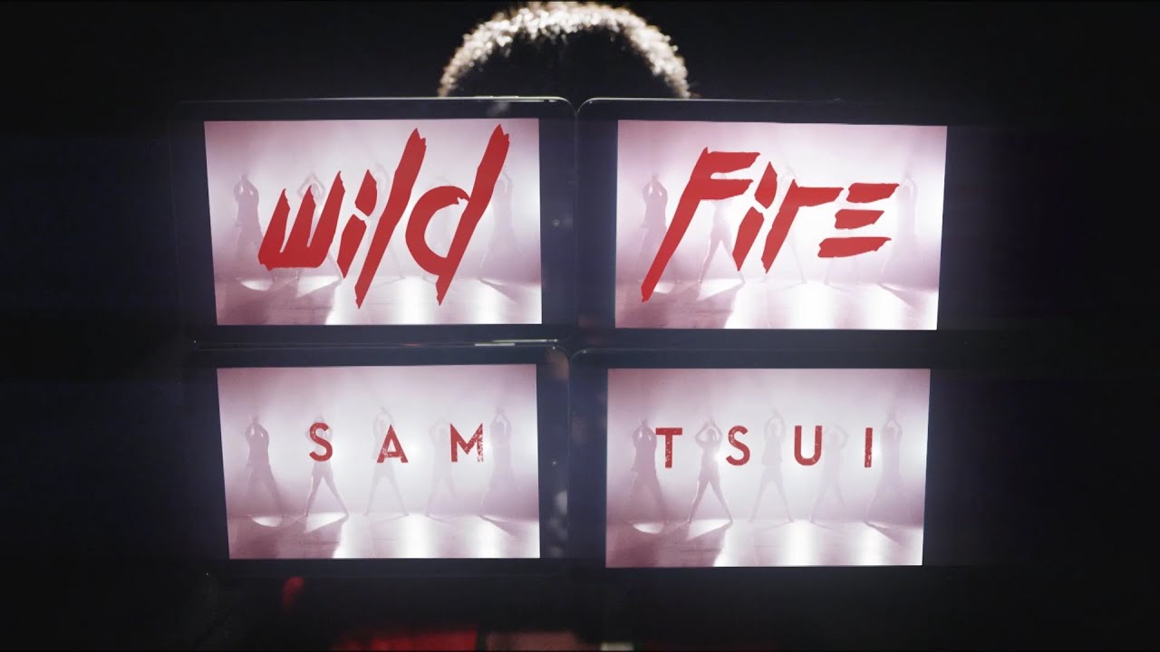Sam Tsui – Wildfire