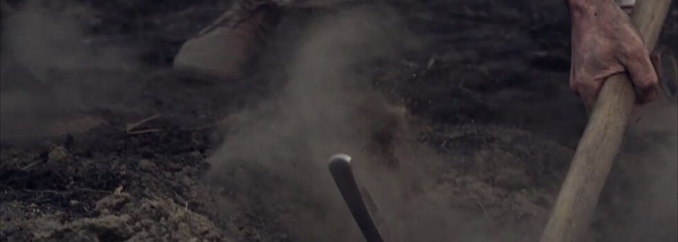 The Sweeplings – Carry Me Home