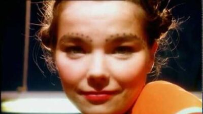 Björk – Venus as a Boy