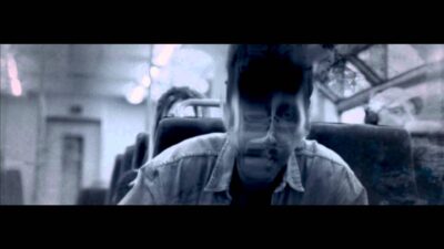 Beak > – The Broken Window