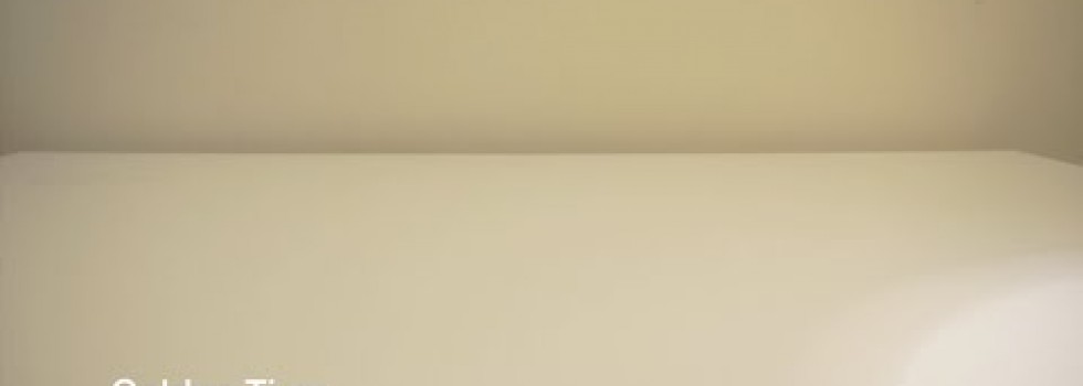 Late Cambrian – Golden Time