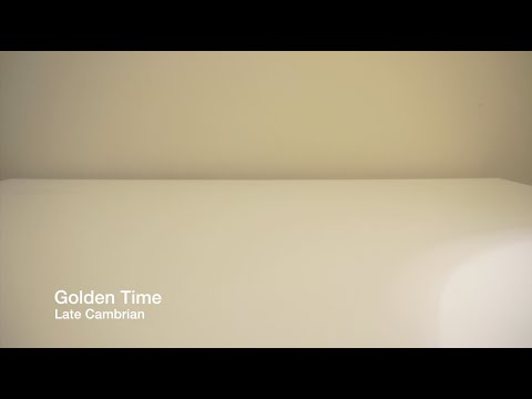 Late Cambrian – Golden Time