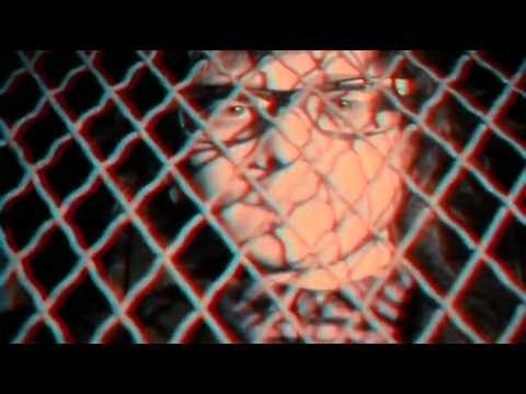 People in Planes – Flesh And Blood