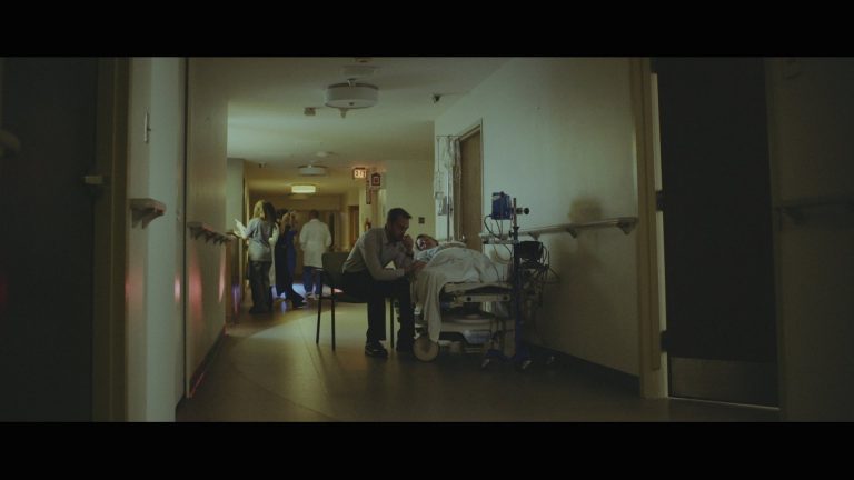 Wolves At The Gate – The Bird and the Snake music video