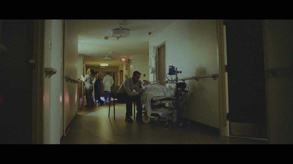 Wolves At The Gate – The Bird and the Snake