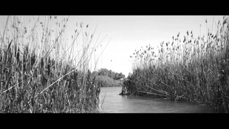 Barotti – She Once Knew music video