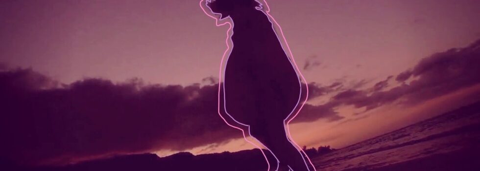 Samuel Jack – Feels Like Summer (Animated)