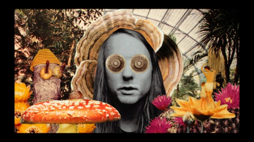 Andy Shauf – The Magician