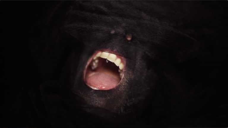 MoRkObOt – Kogromot music video
