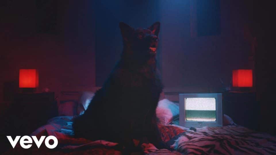 Beaty Heart – Flora