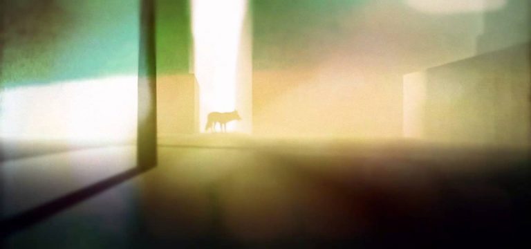 WENNINK – Dissolve music video