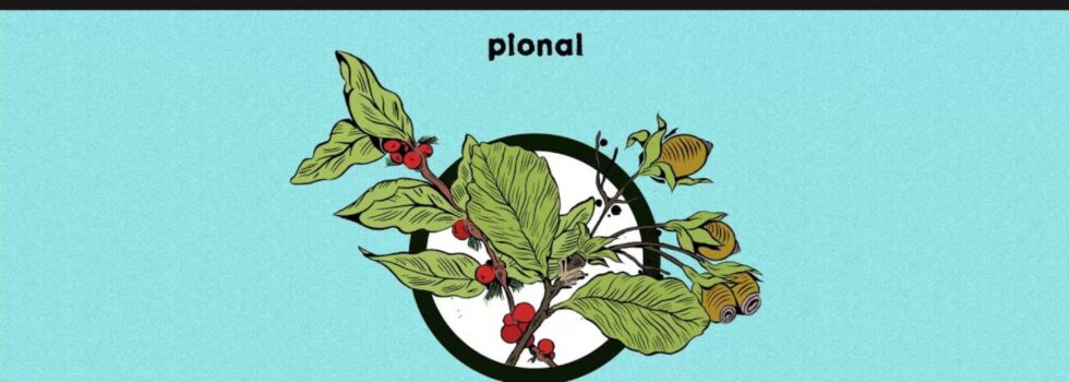Pional – Casualty
