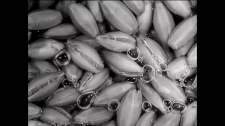 Mogwai – Ether music video