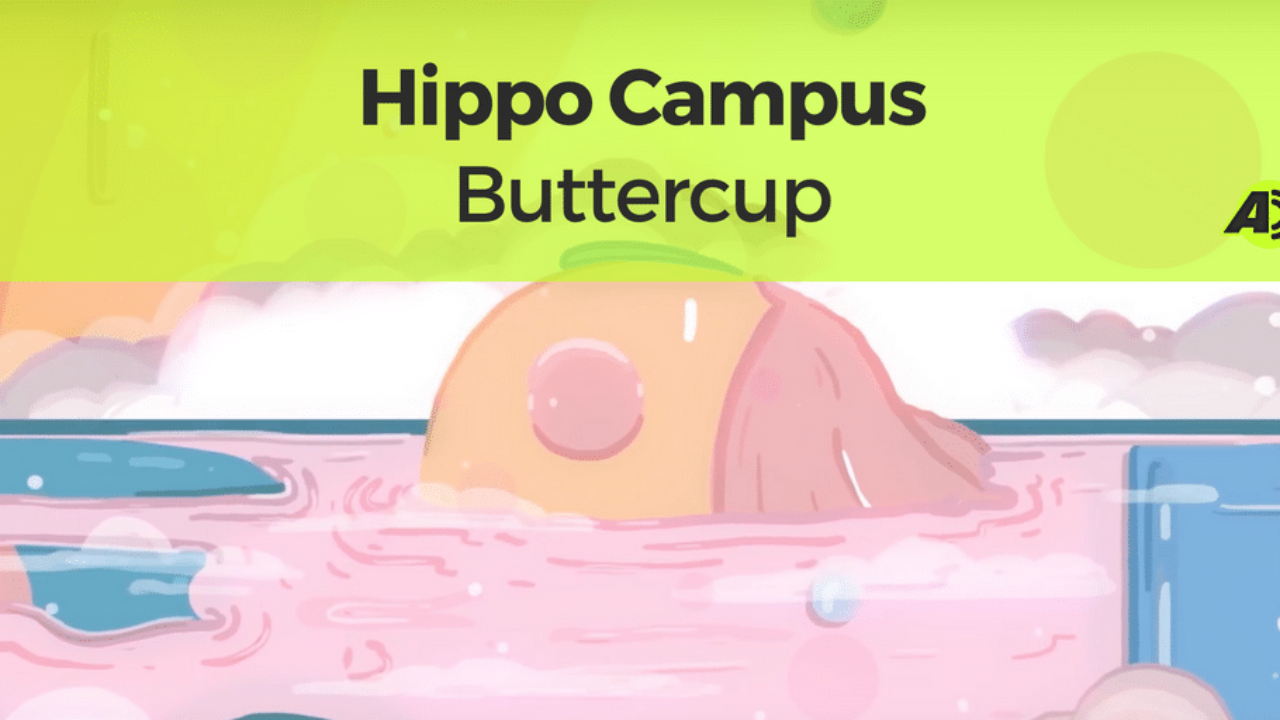 Hippo Campus – Buttercup