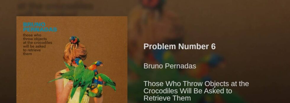 Bruno Pernadas – Problem Number 6