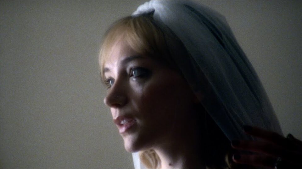 Flower Face – If I Beg You