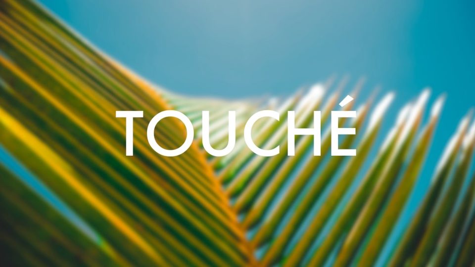 Thalab – Morning, Before My Plant Dies