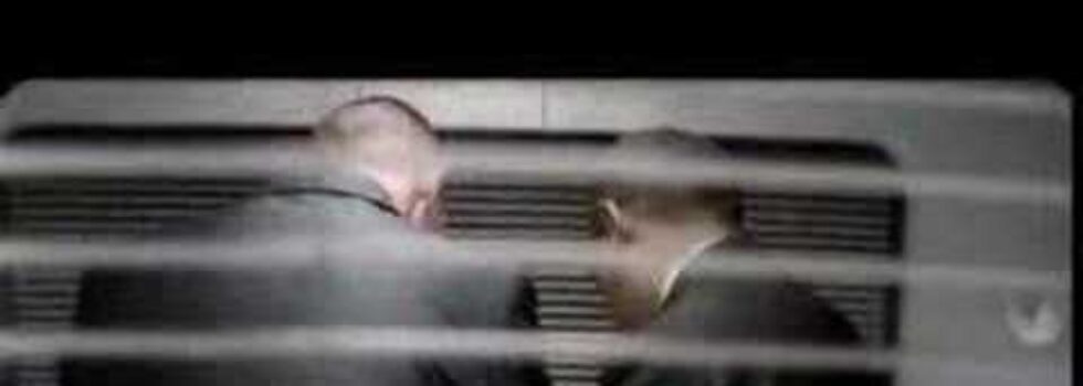 Shed Seven – Chasing Rainbows