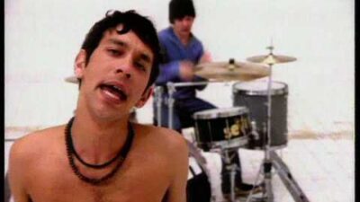 Shed Seven – Dolphin