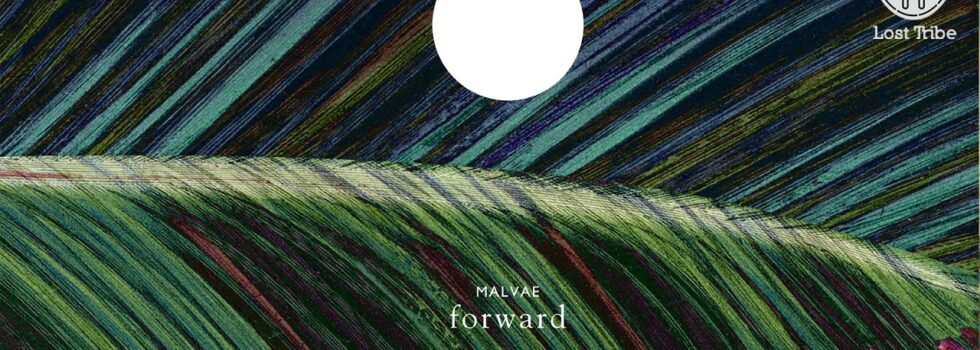 Malvae – Two Faced