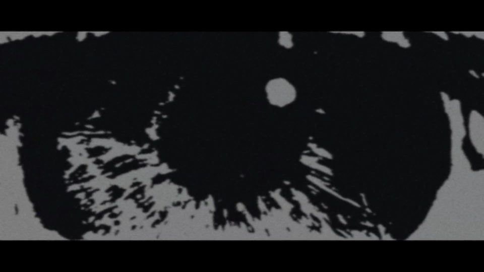 Arctic Monkeys – My Propeller