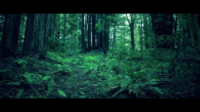 Baths – Lovely Bloodflow music video