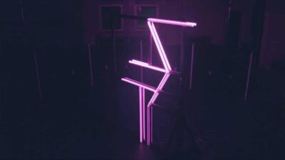 Daniel Brandt – Flamingo